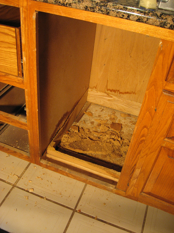 Should You Resurface Your Cabinets Or Replace Spazio La