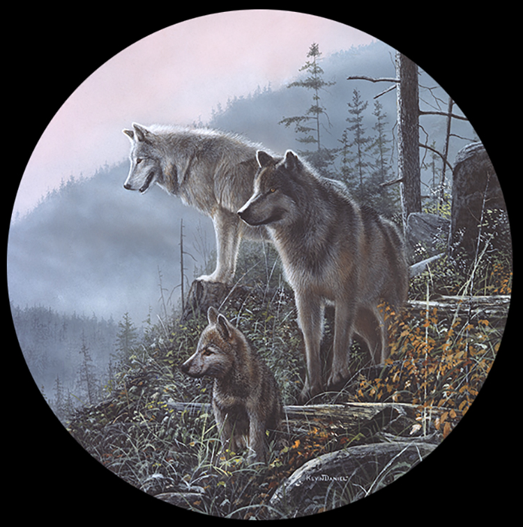 Watchful Eyes by Kevin Daniel Wildlife Wolves Poster 22x28 WOLF ART PRINT 