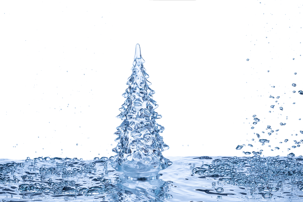 How Often Should You Water Your Christmas Tree Plant