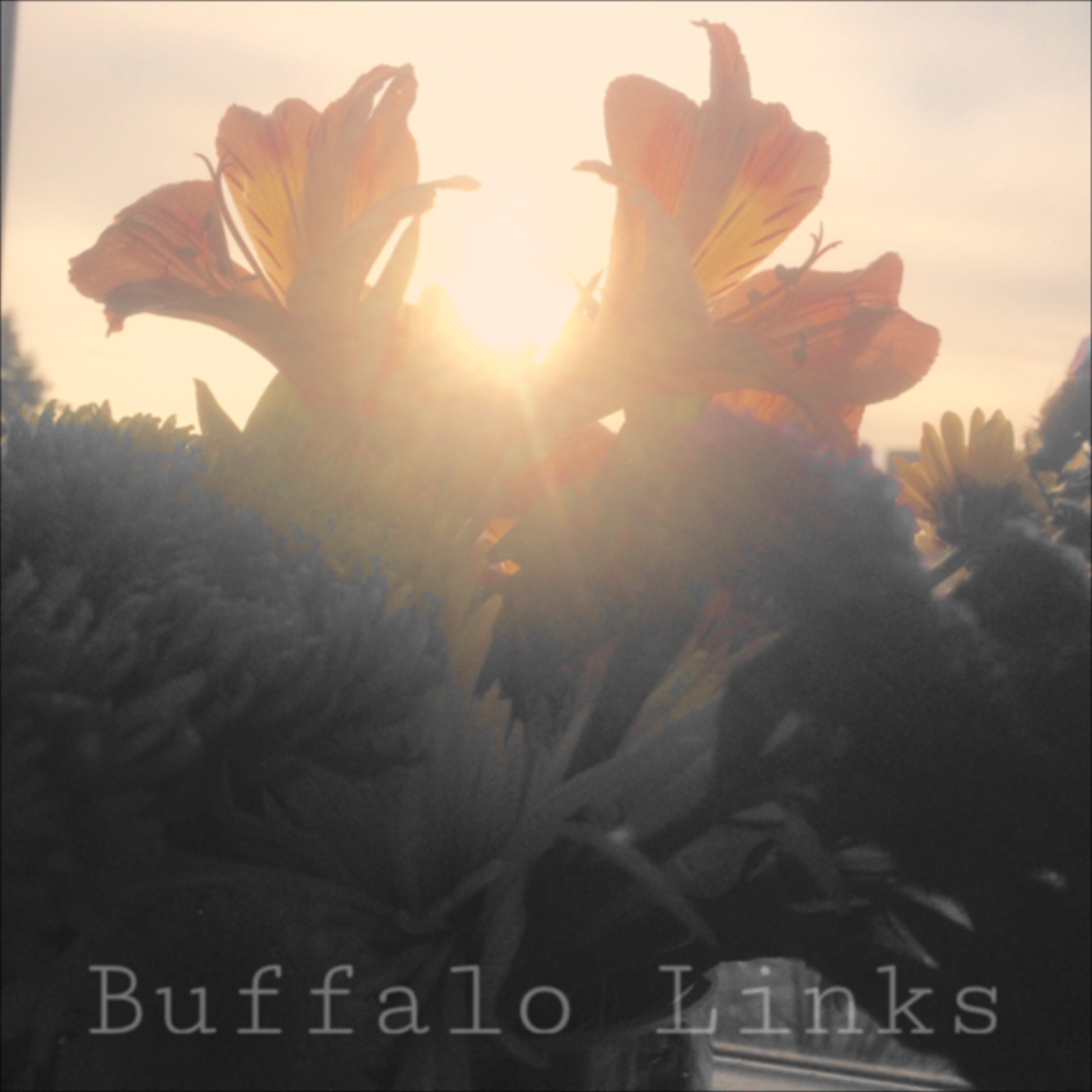 buffalo links flowers