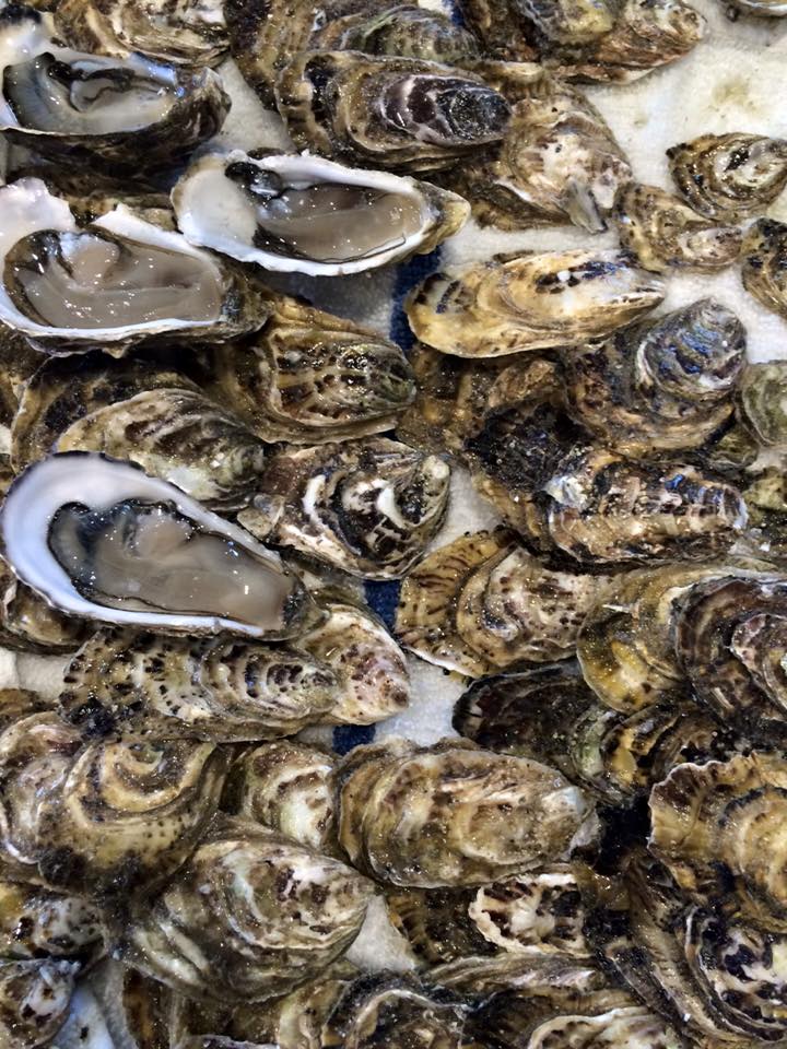 Baja Kumiai oysters. Photo: S. Shoffler