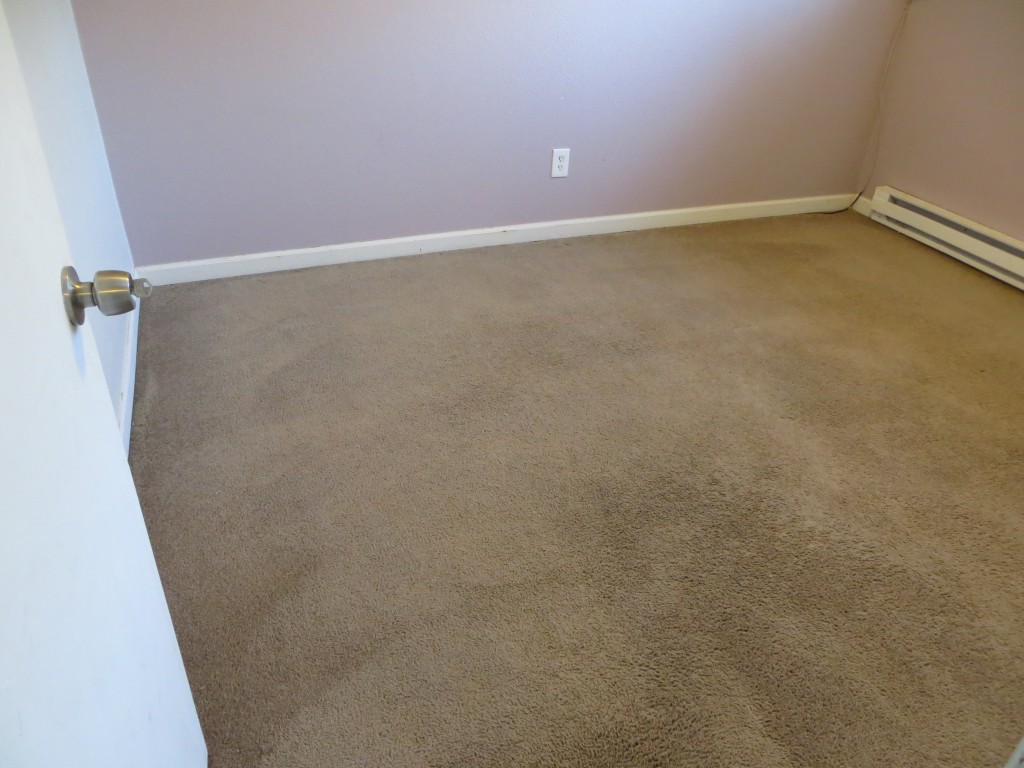 10 year old rental carpet
