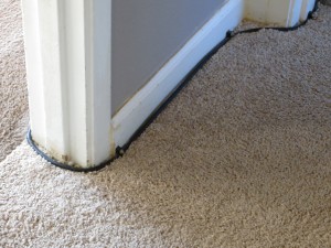 Cable on Carpet