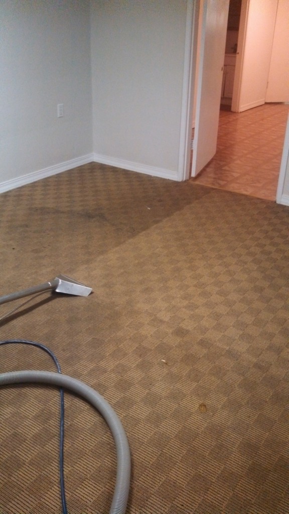 Checkered Rental Carpet