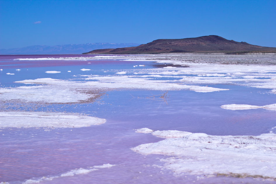Photo Diary: Salt Lake City, Utah pink great salk lake utah
