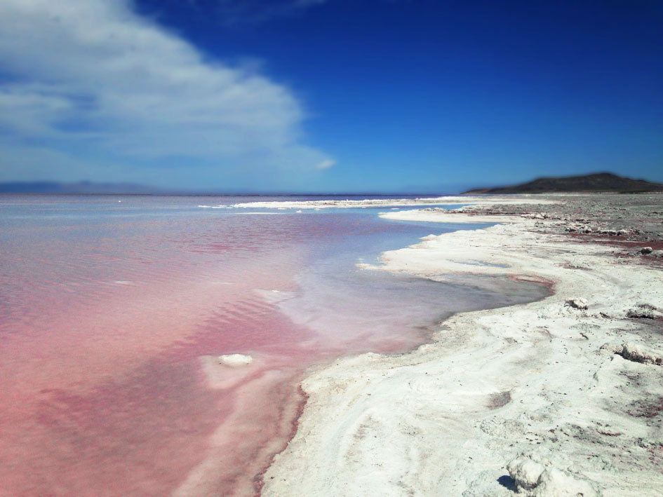 Photo Diary: Salt Lake City, Utah pink great salk lake utah