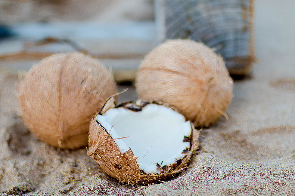 coconuts on beach in Maui Hawaii