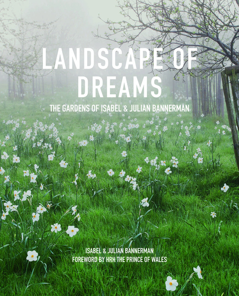 landscape-of-dreams-197550-800x600