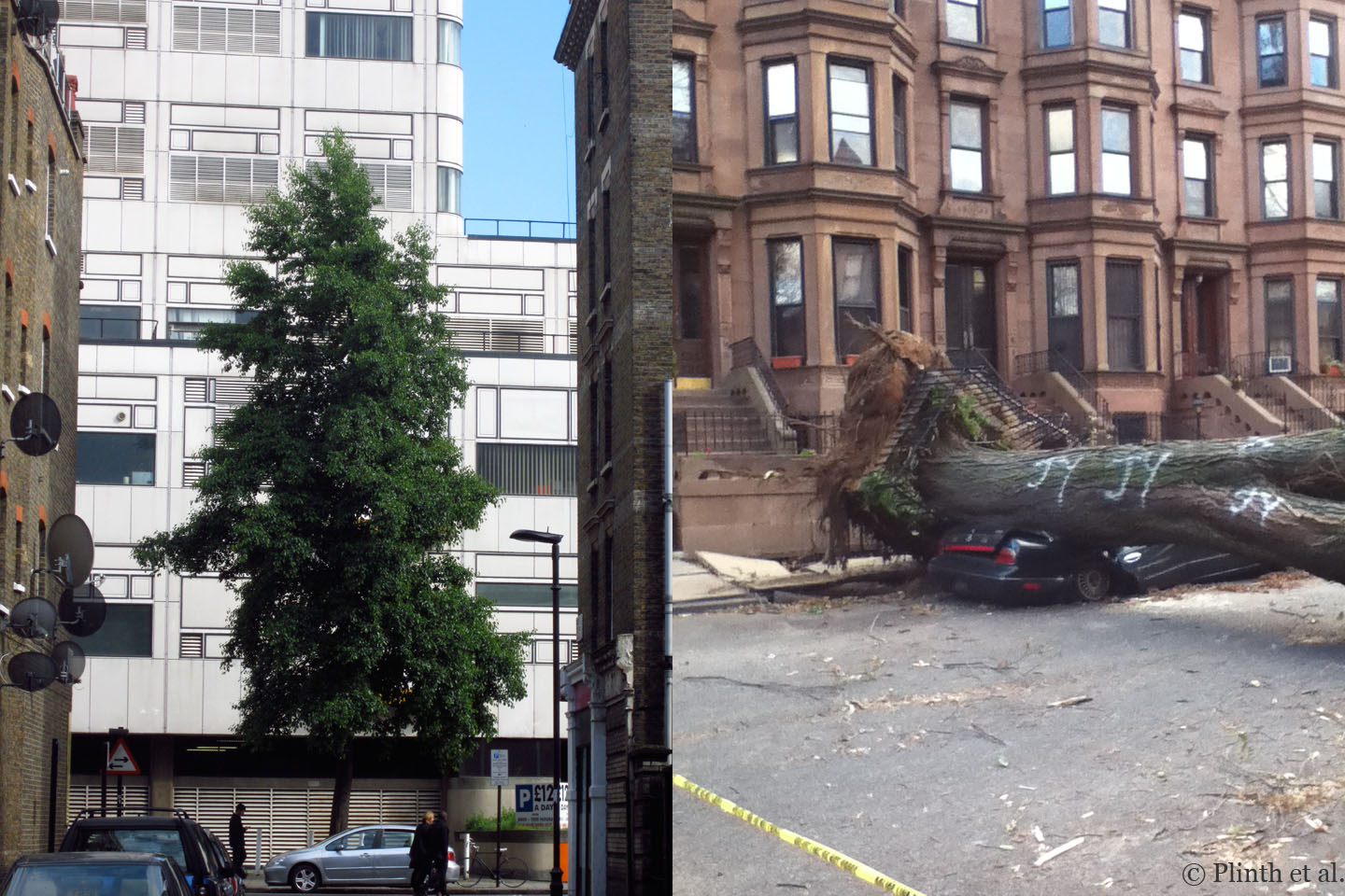 single tree adorning the end of a London Street and Hurricane Sandy damage, Brooklyn, NY (photo: Migan Foster)