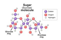 Molecular Structure Table Sugar