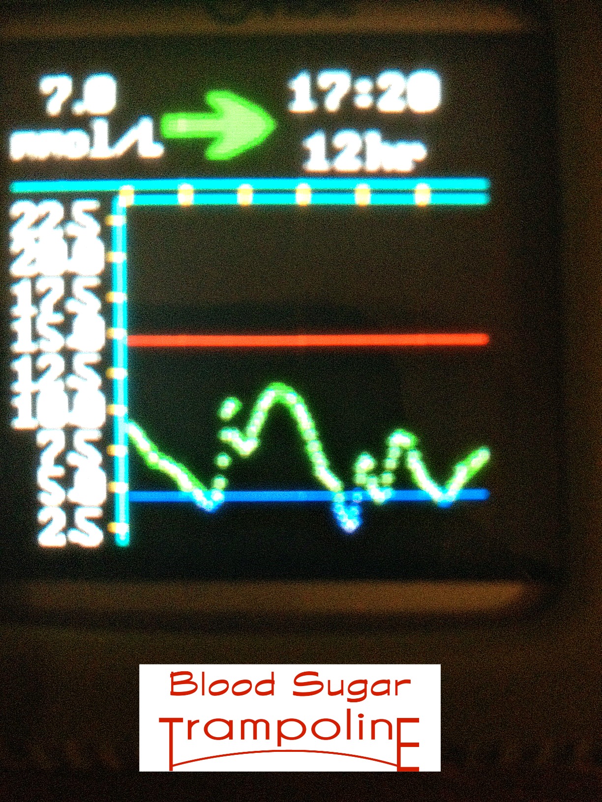 Bouncing on the Blood Sugar Trampoline