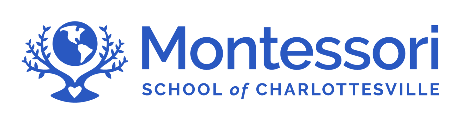 Montessori School Inc