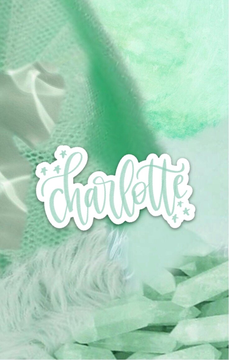 Charlotte NC Sticker — Hint of Mint Designs