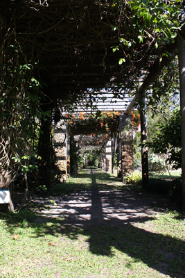 Fairchild Tropical Botanic Garden 1