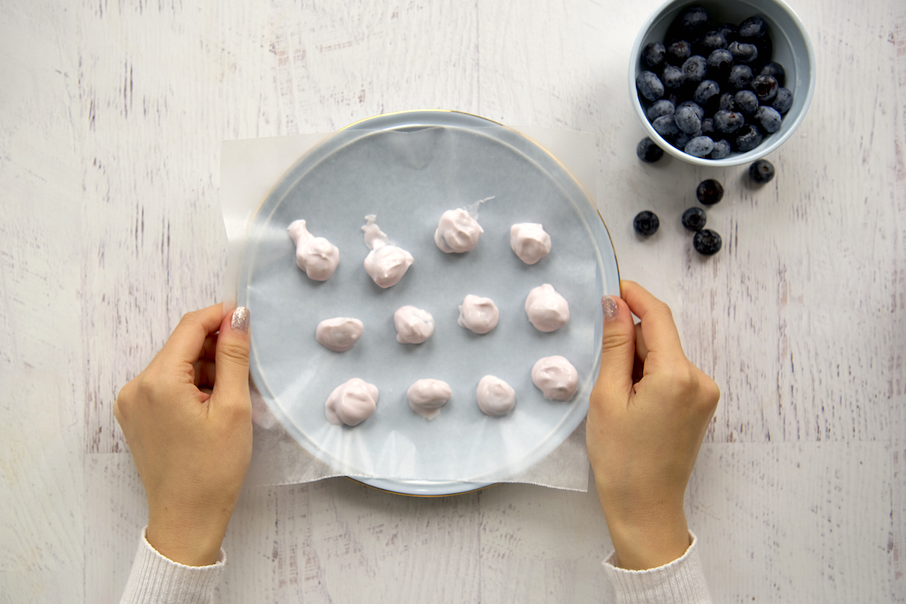 frozen-yogurt-blueberries
