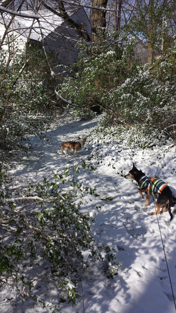 Mez and Wen in April snow