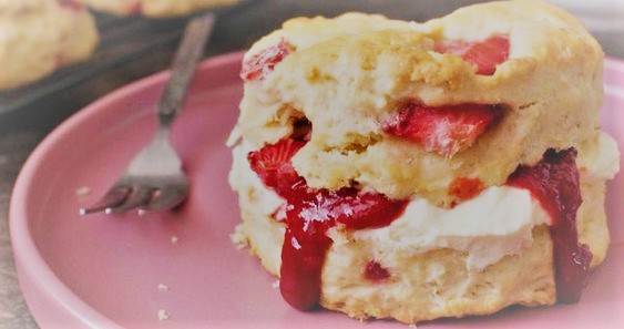   NOT AN ACTUAL PICTURE OF MY SISTERS SCONES. LET’S SEE IF SHE REALLY READS MY BLOG. YOURS DIDN’T LOOK AS GOOD AS THIS LAURA…  