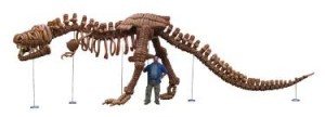 T-rex designed and built by Mark Verge. Mark is pictured with the dino.