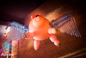 flying piggy
