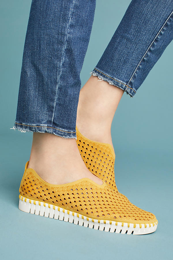  These are Ashley's sneakers! Ilse Jacobsen Tulip Perforated Sneakers. Available in multiple colors. Anthropologie. $78.  