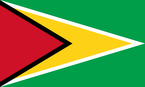 Guyana Country Flag - Where our clients are from