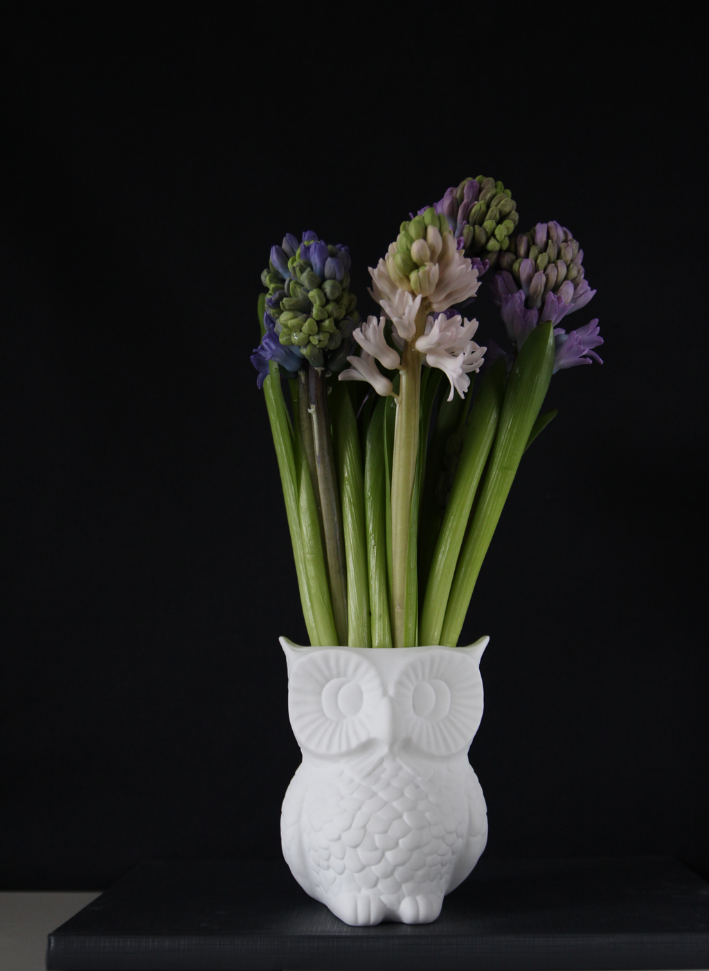 2 flower girls - owl vase and yacinths