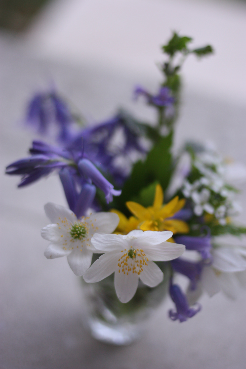 mini_bouquet_from_the_forest_4