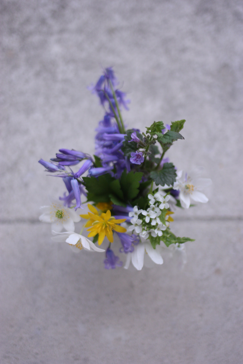 mini_bouquet_from_the_forest_3