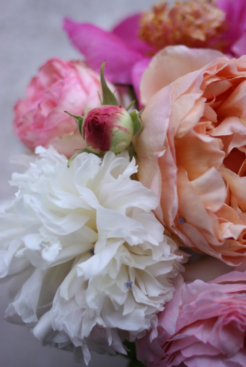 peonies and roses bouquet