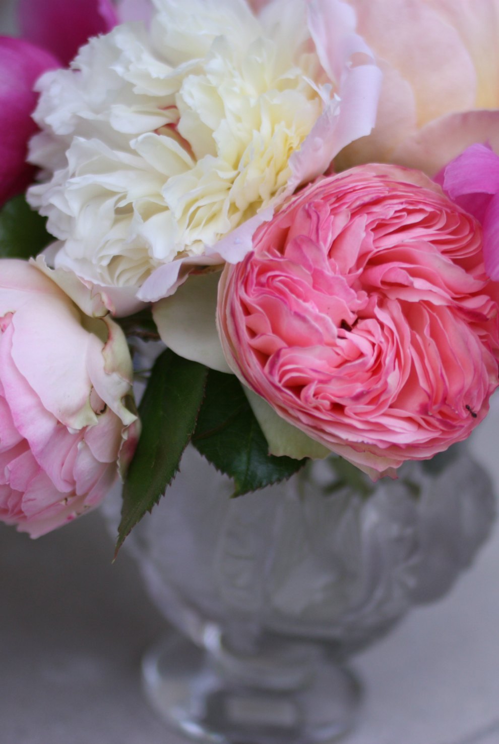 roses and peonies