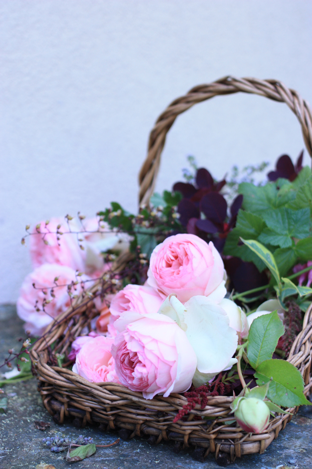 roses in basket
