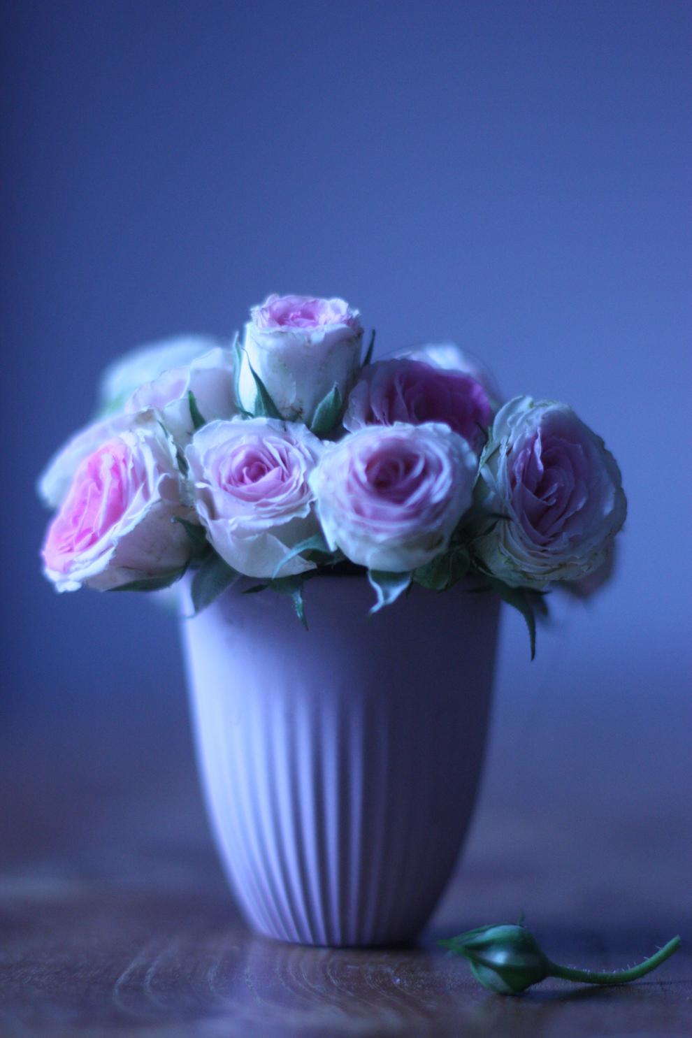 mini-roses