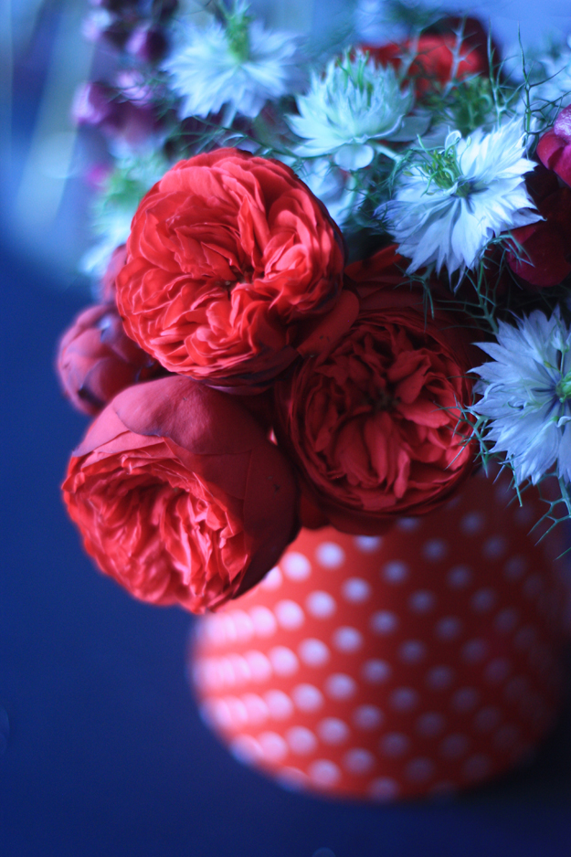 red_bouquet_close_up