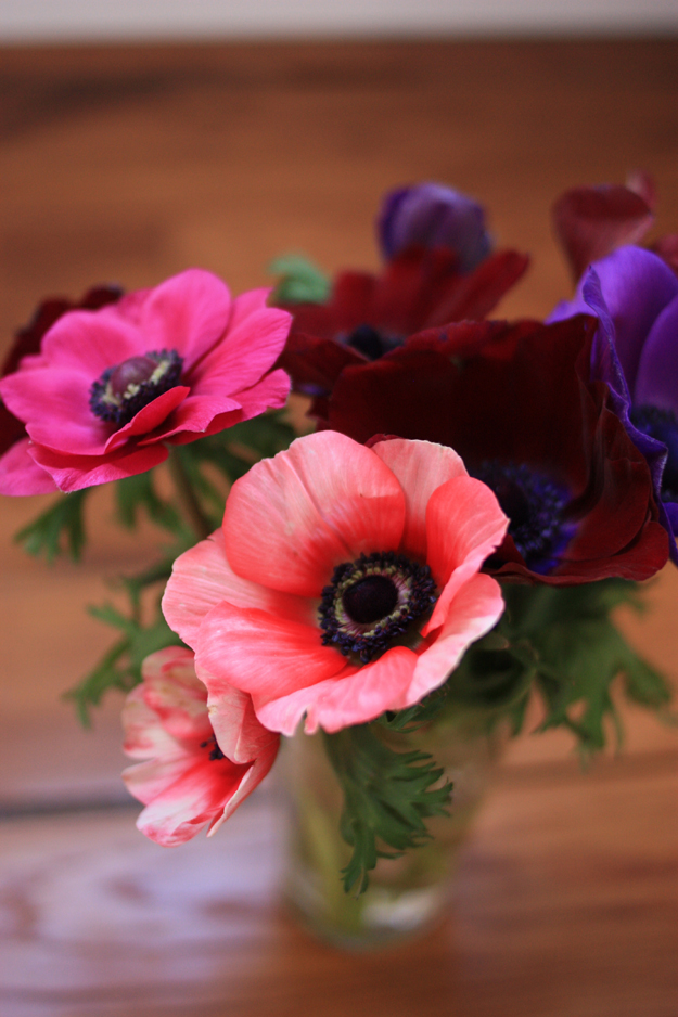 anemones_bouquet