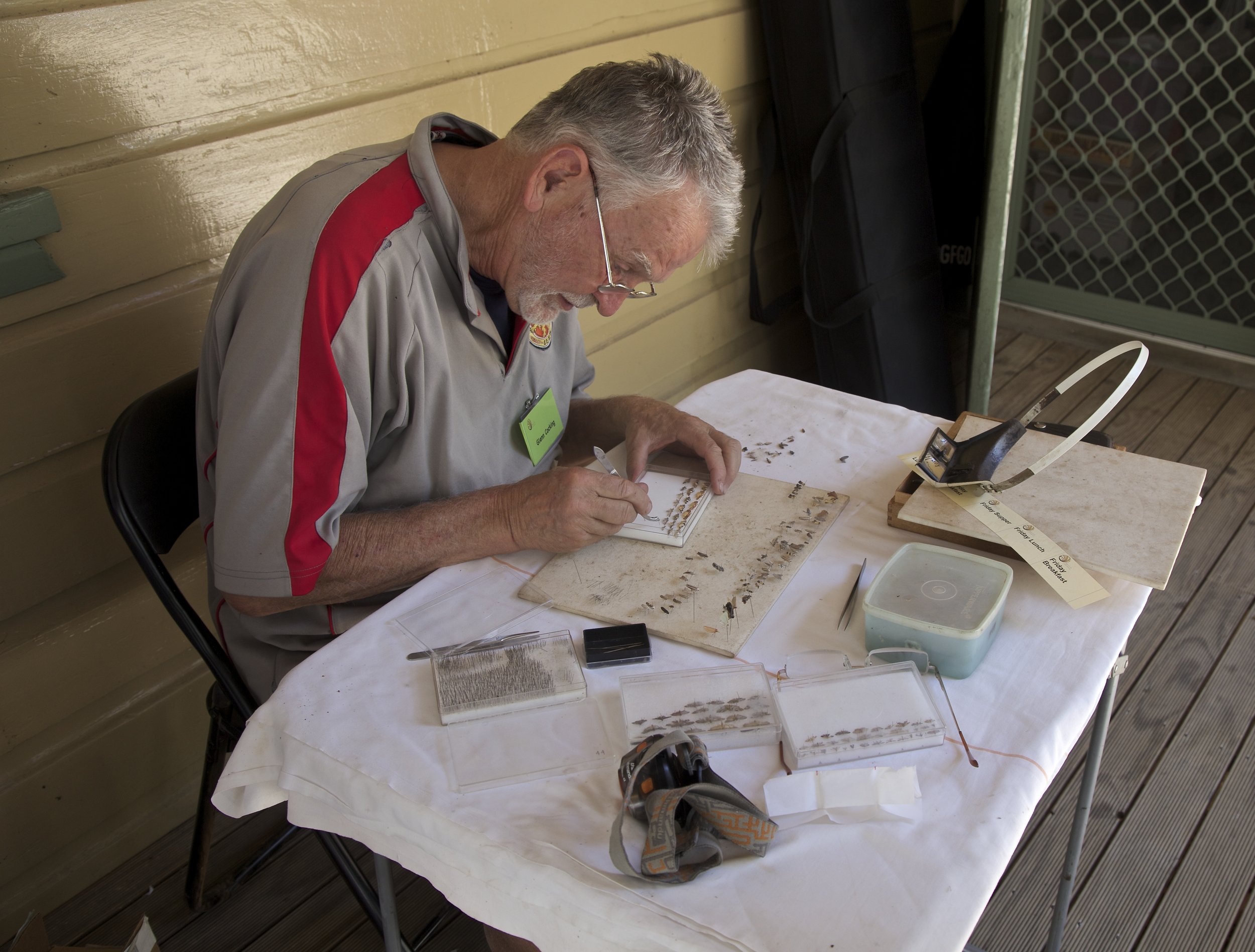 Glenn preparing specimens for ID at the Wallagoot BioBlitz 2015