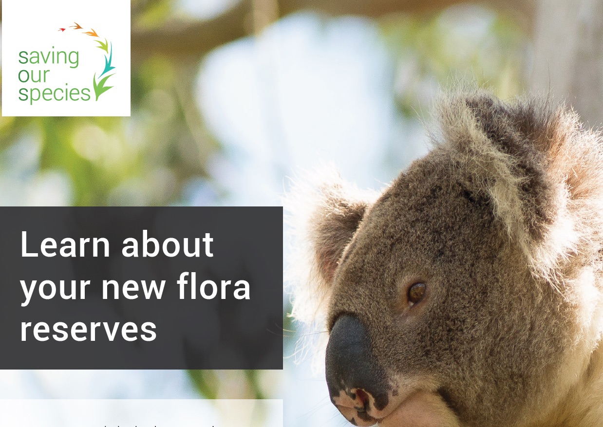 new flora reserves info day