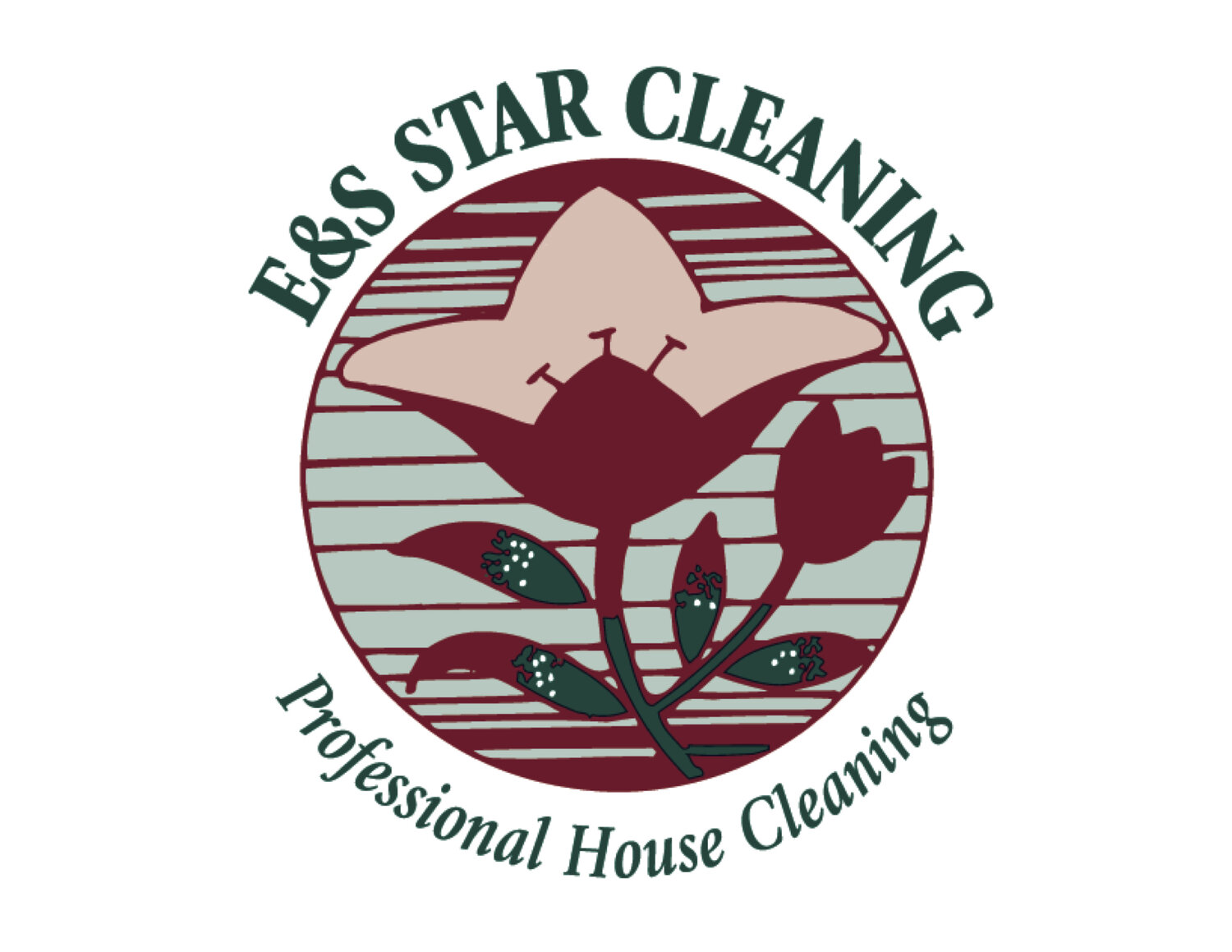 E  S Star Cleaning