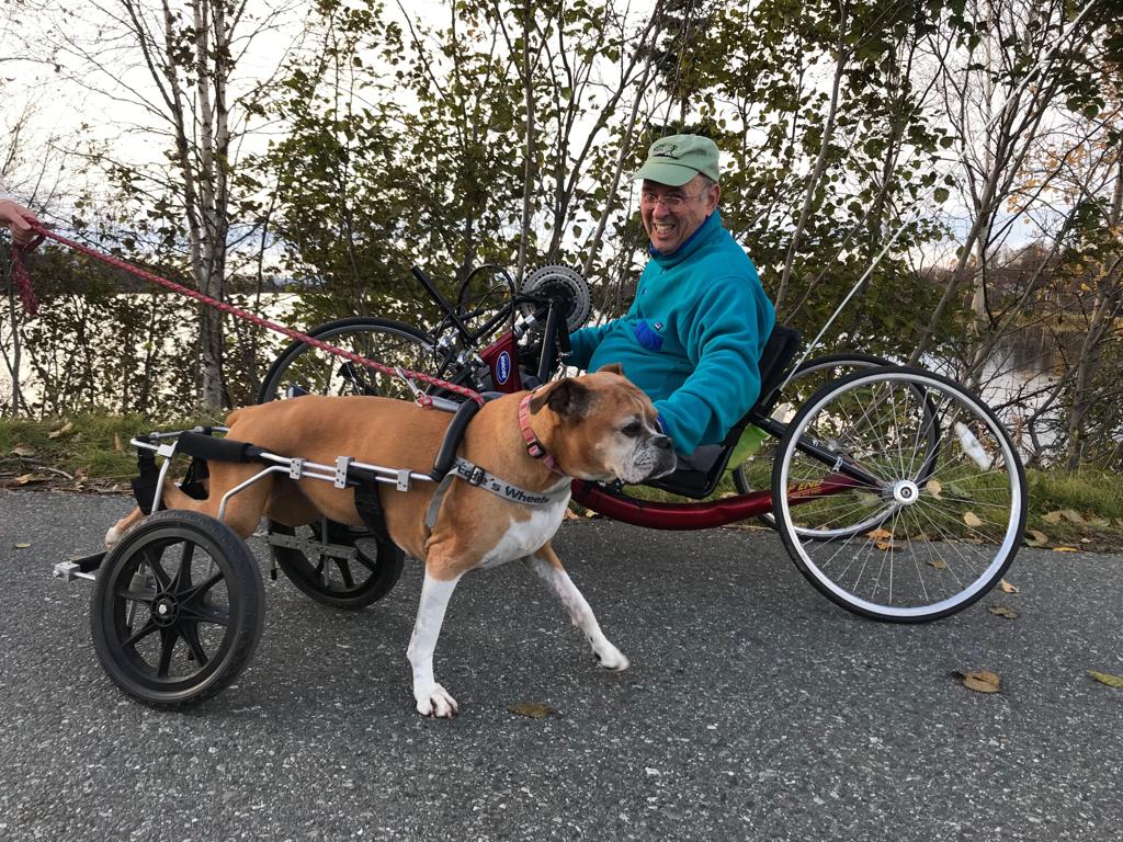 Sacco Dog Cart