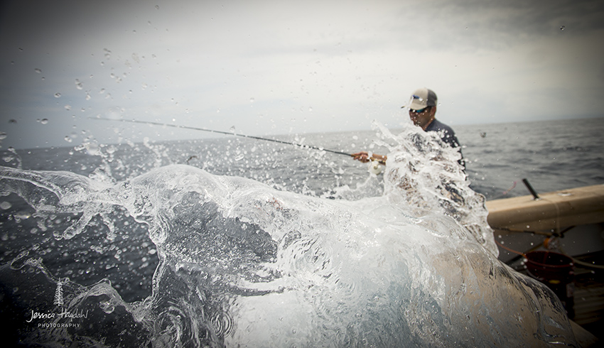 sport fishing magazine — Blog — Jessica Haydahl Photography