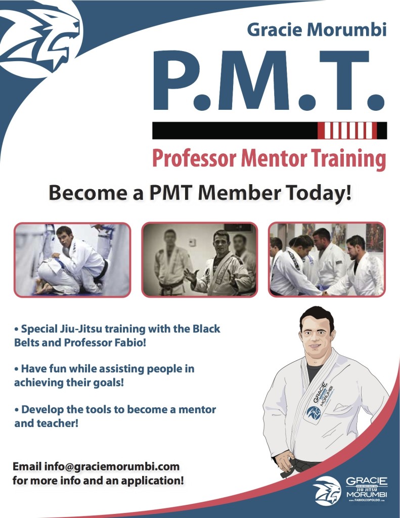 Professor Mentor Training