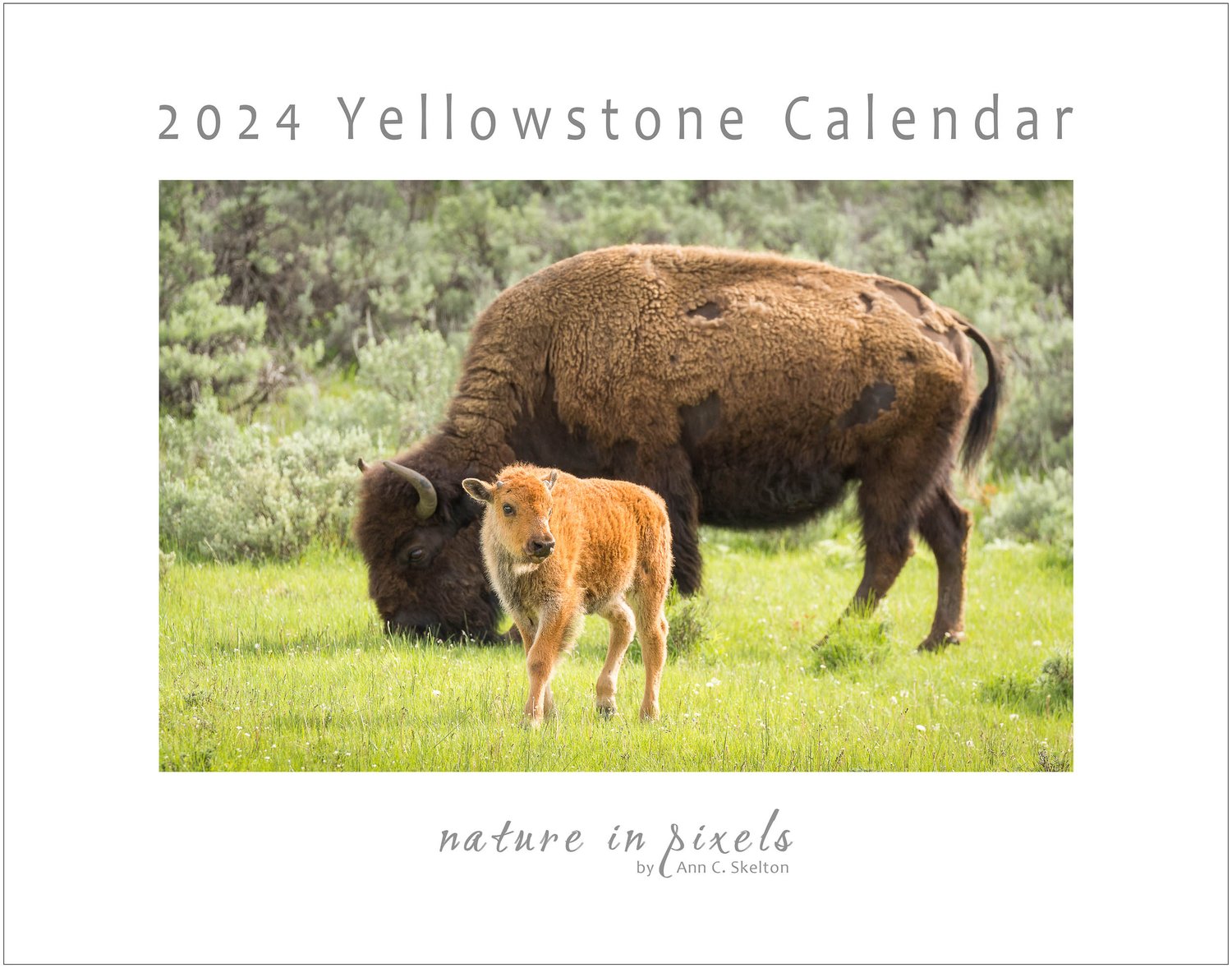 2024 Yellowstone Calendar — Yellowstone Wonders LLC