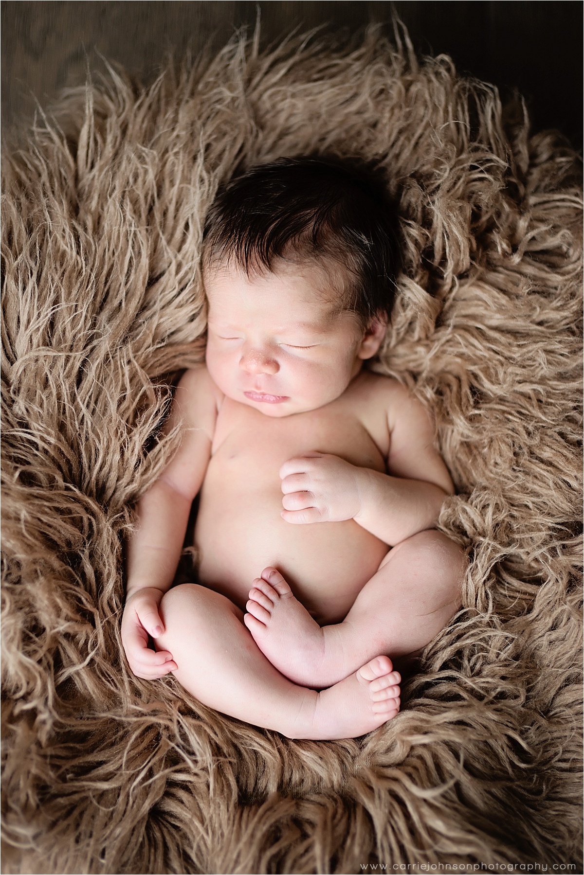 Western Colorado newborn photographer