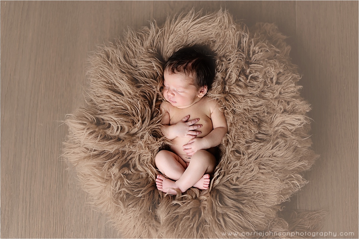 Western Colorado newborn photographer