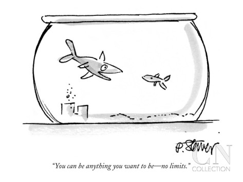 peter-steiner-you-can-be-anything-you-want-to-be-no-limits-new-yorker-cartoon