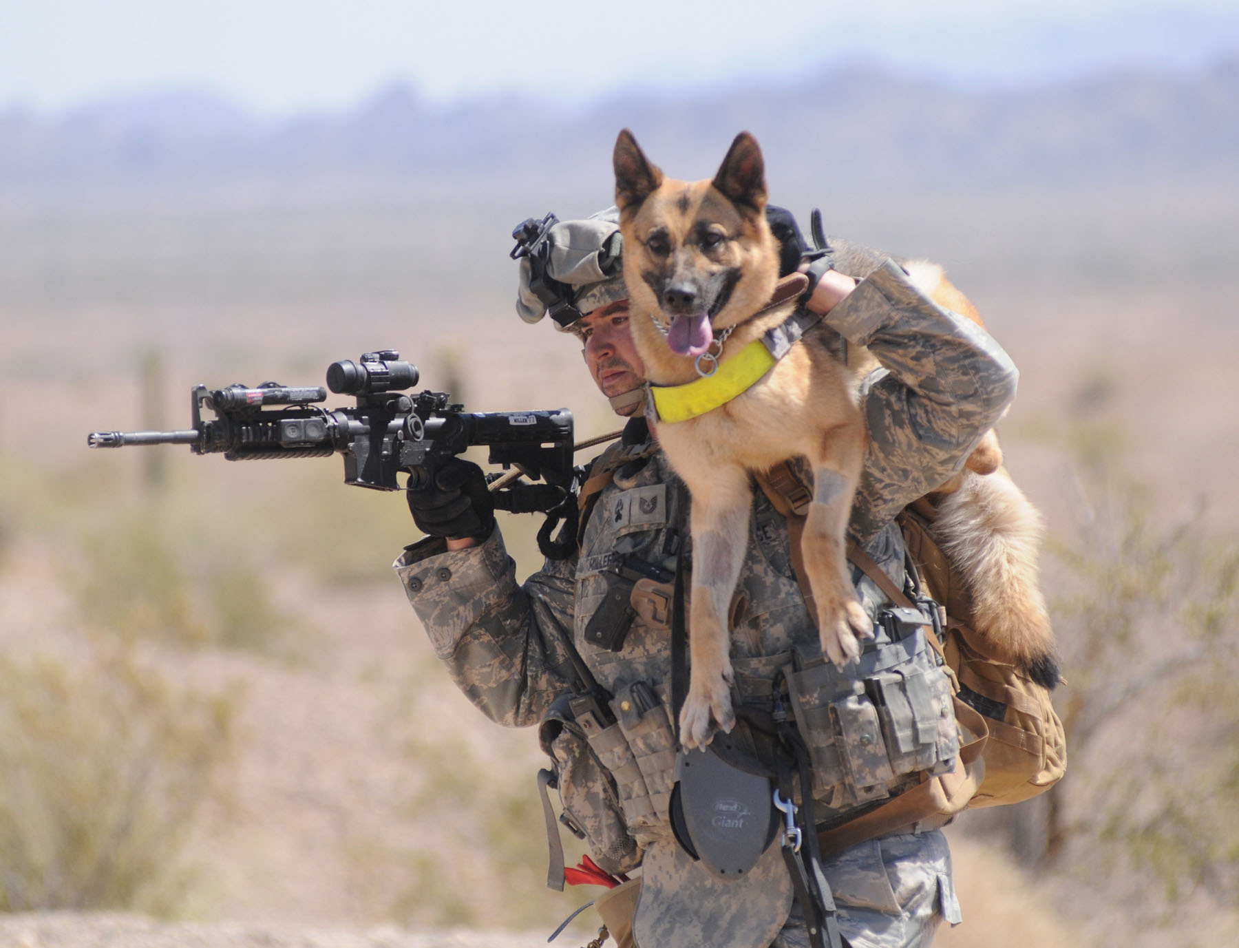 A-Salute-to-Military-Working-Dogs