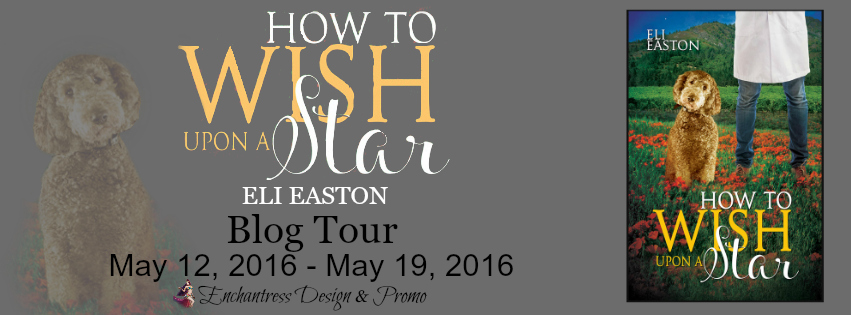 How to Wish Upon a Star Blog Tour Banner