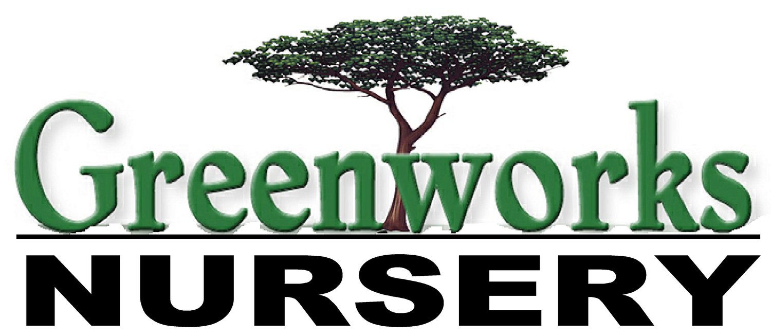 Greenworks Wholesale Nursery