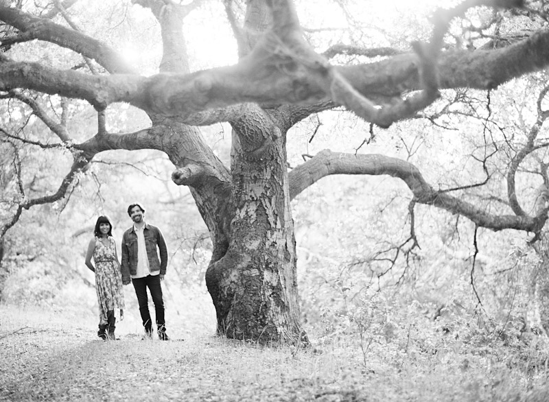 San Luis Obispo engagement medium format film photographs of couple standing under a tree.