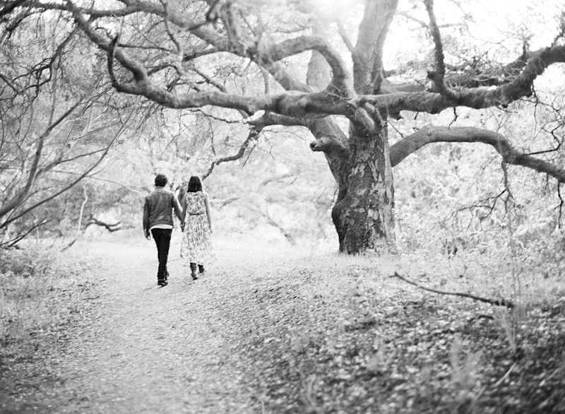 San Luis Obispo engagement medium format film photographs of couple walking to a tree.