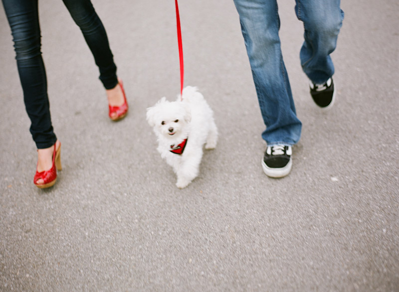 Santa Margarita, engagement photos of couple walking with dog just showing their feet